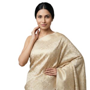 Beige-Meena-work-Saree5